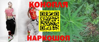 прущие грибы Гай