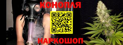 прущие грибы Гай