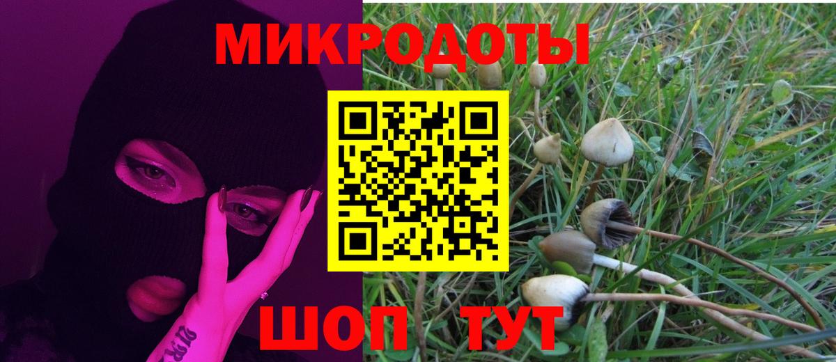 Галлюциногенные грибы Psilocybine cubensis  Галлюциногенные грибы прущие грибы  Вход с VPN  Псков 
