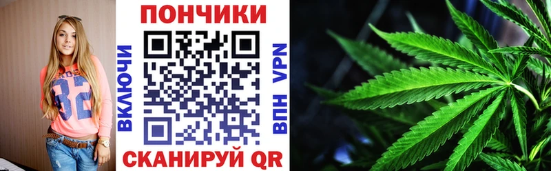 Бошки Шишки план  Псков 